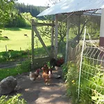 Zuckerbauernhof Mit Hund Sankt Georgen im Schwarzwald