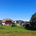 Zuckerbauernhof Mit Hund Sankt Georgen im Schwarzwald