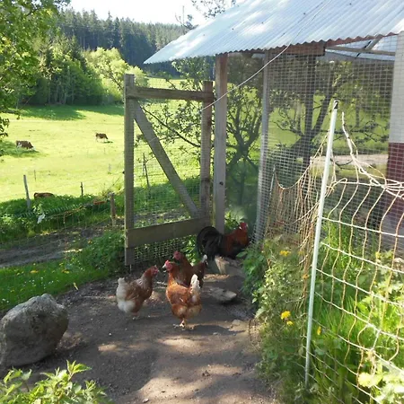 Zuckerbauernhof Mit Hund Sankt Georgen im Schwarzwald