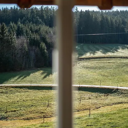 Zuckerbauernhof Mit Hund * Sankt Georgen im Schwarzwald