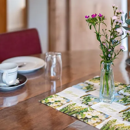 Zuckerbauernhof Mit Hund