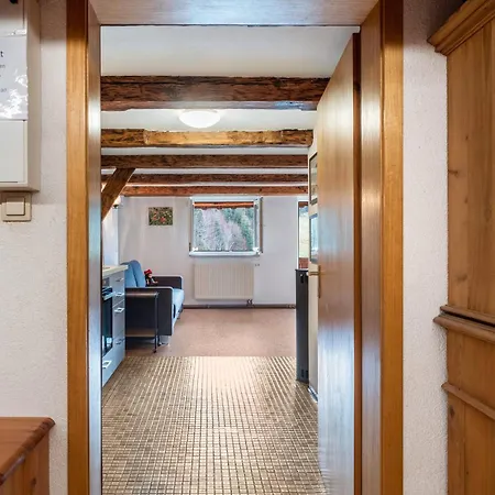 Zuckerbauernhof Mit Hund Sankt Georgen im Schwarzwald