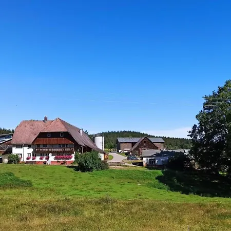 Zuckerbauernhof Mit Hund Sankt Georgen im Schwarzwald