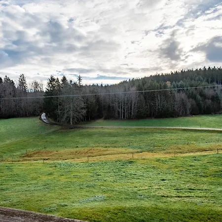 Zuckerbauernhof Mit Hund Sankt Georgen im Schwarzwald
